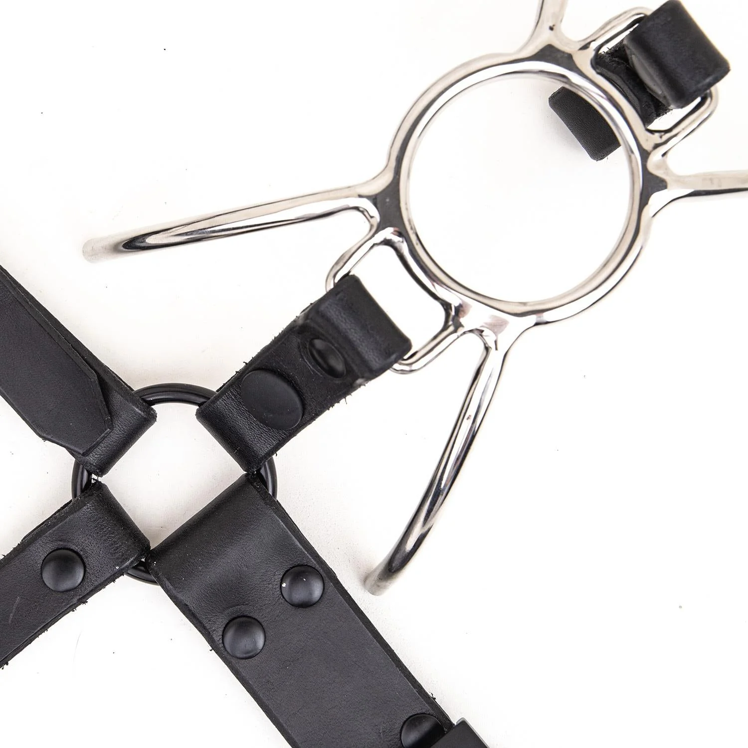Spider Gag Add-On for Nose Hook Head Harness - Image 2