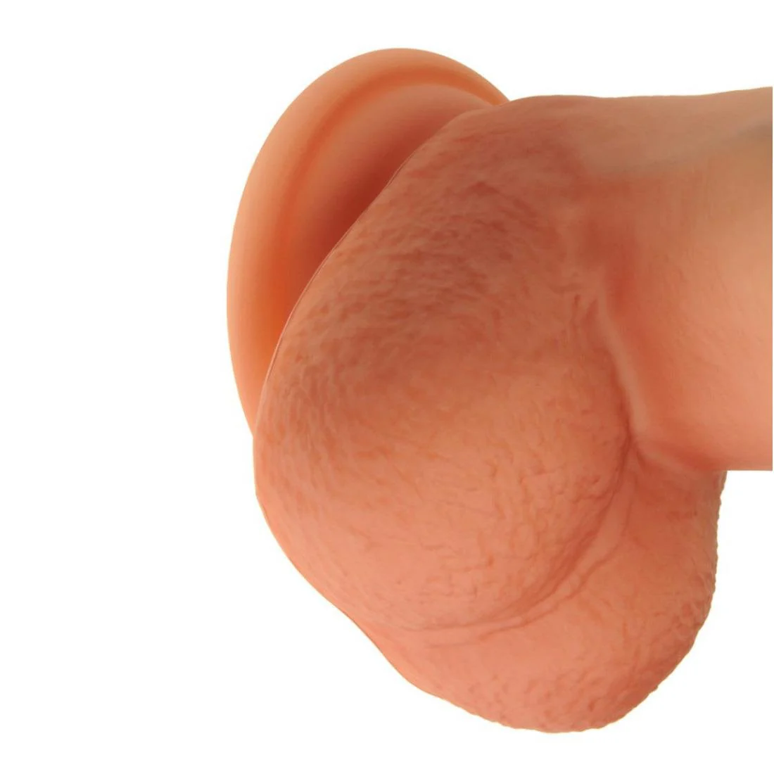 Member, Realistic Dildo, Soft Touch - Image 6