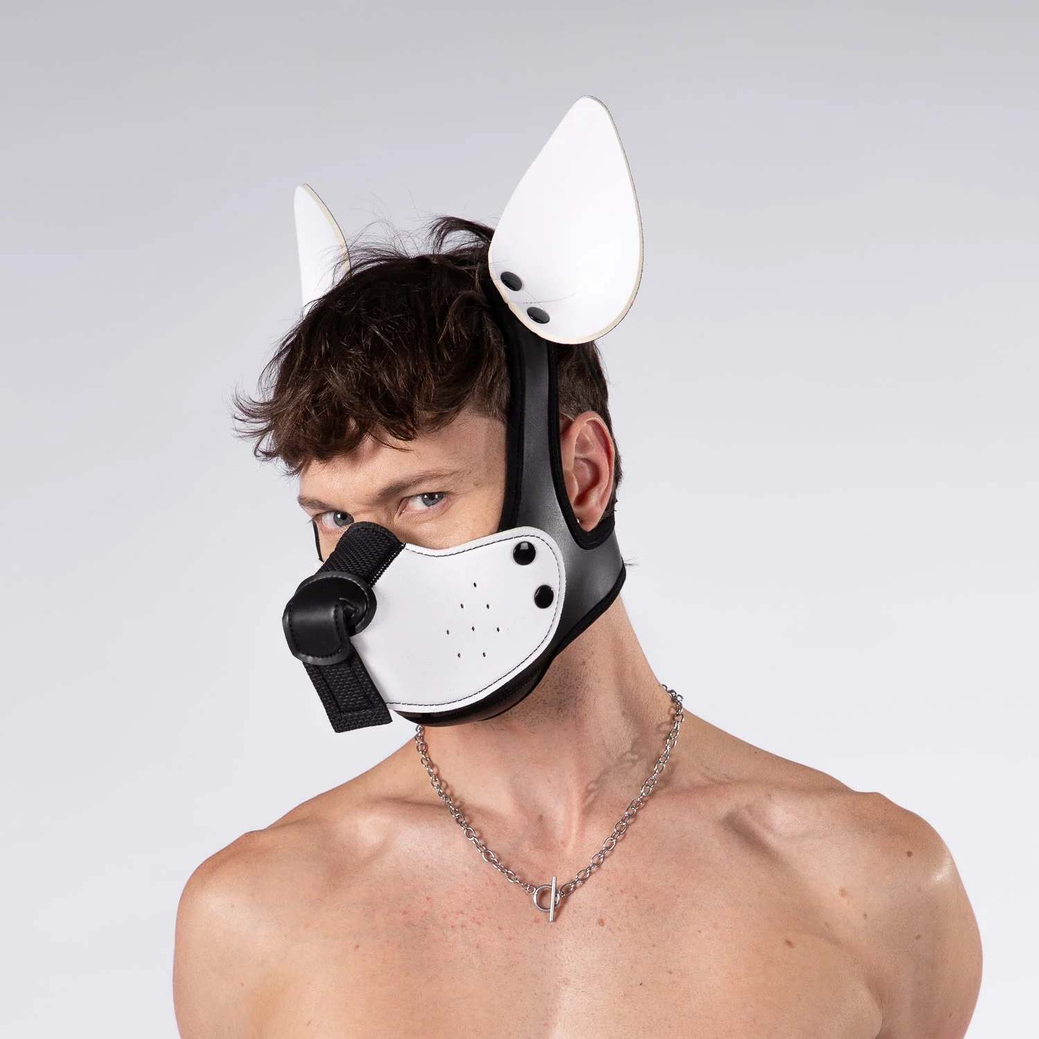 Mistr Bear Neo K9 Hood with Ears, White