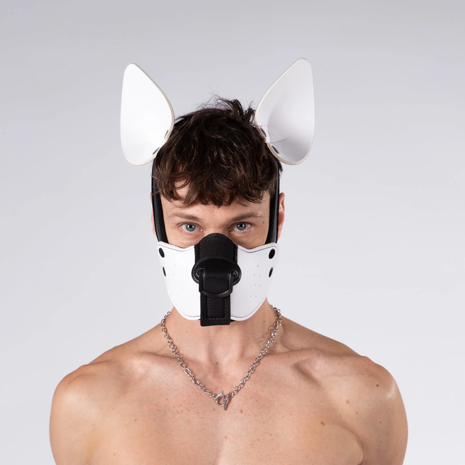Mistr Bear Neo K9 Hood with Ears, White - Image 2