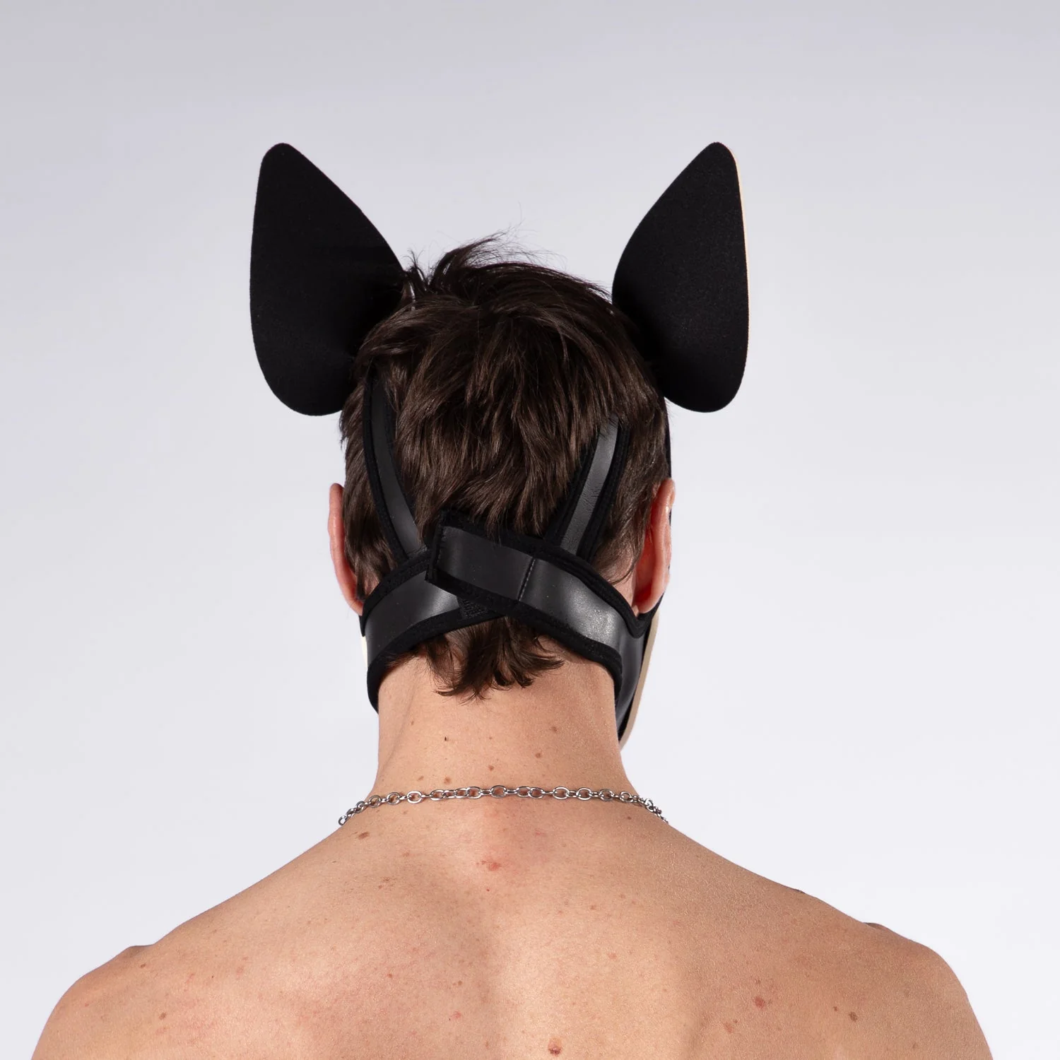 Mistr Bear Neo K9 Hood with Ears, White - Image 3