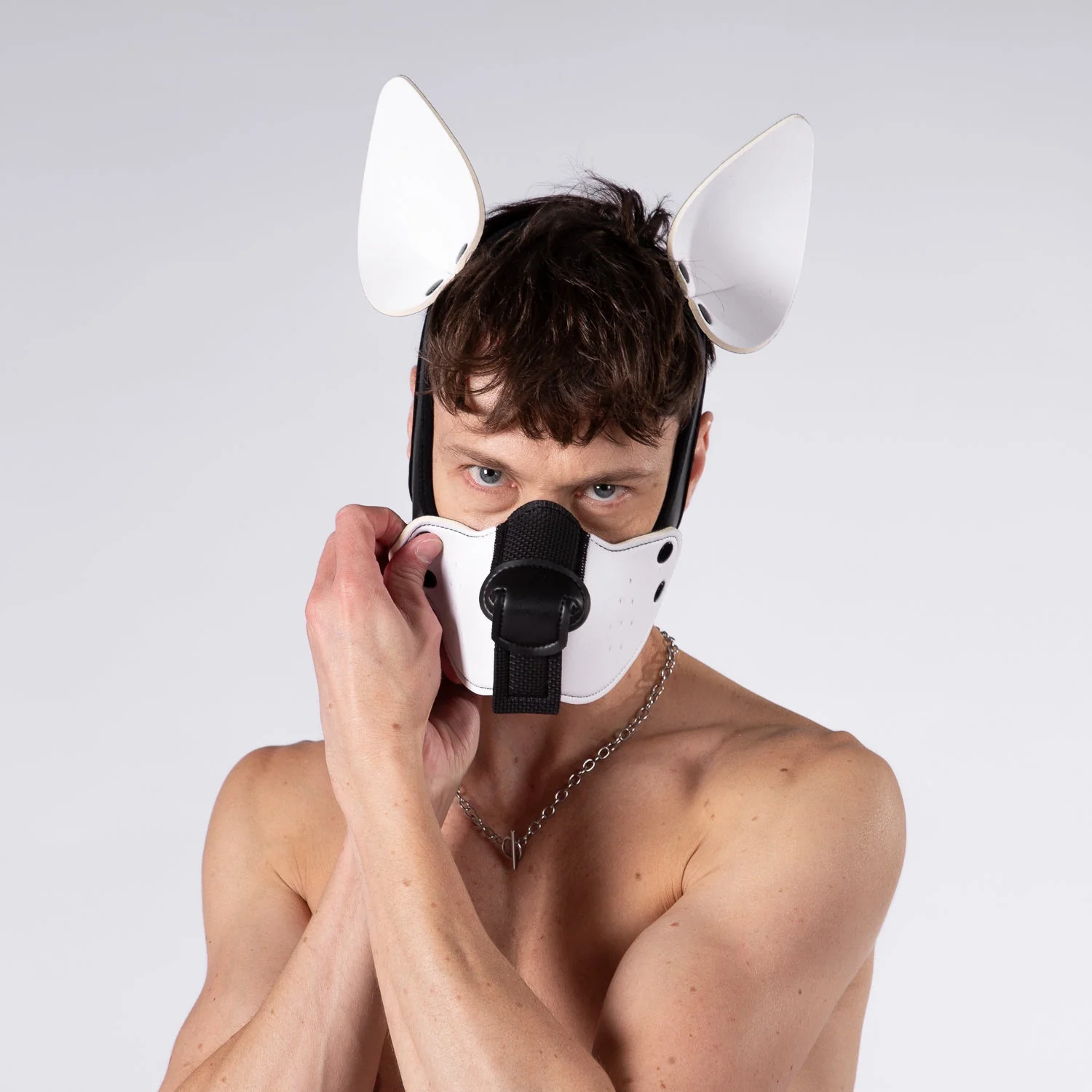 Mistr Bear Neo K9 Hood with Ears, White - Image 4