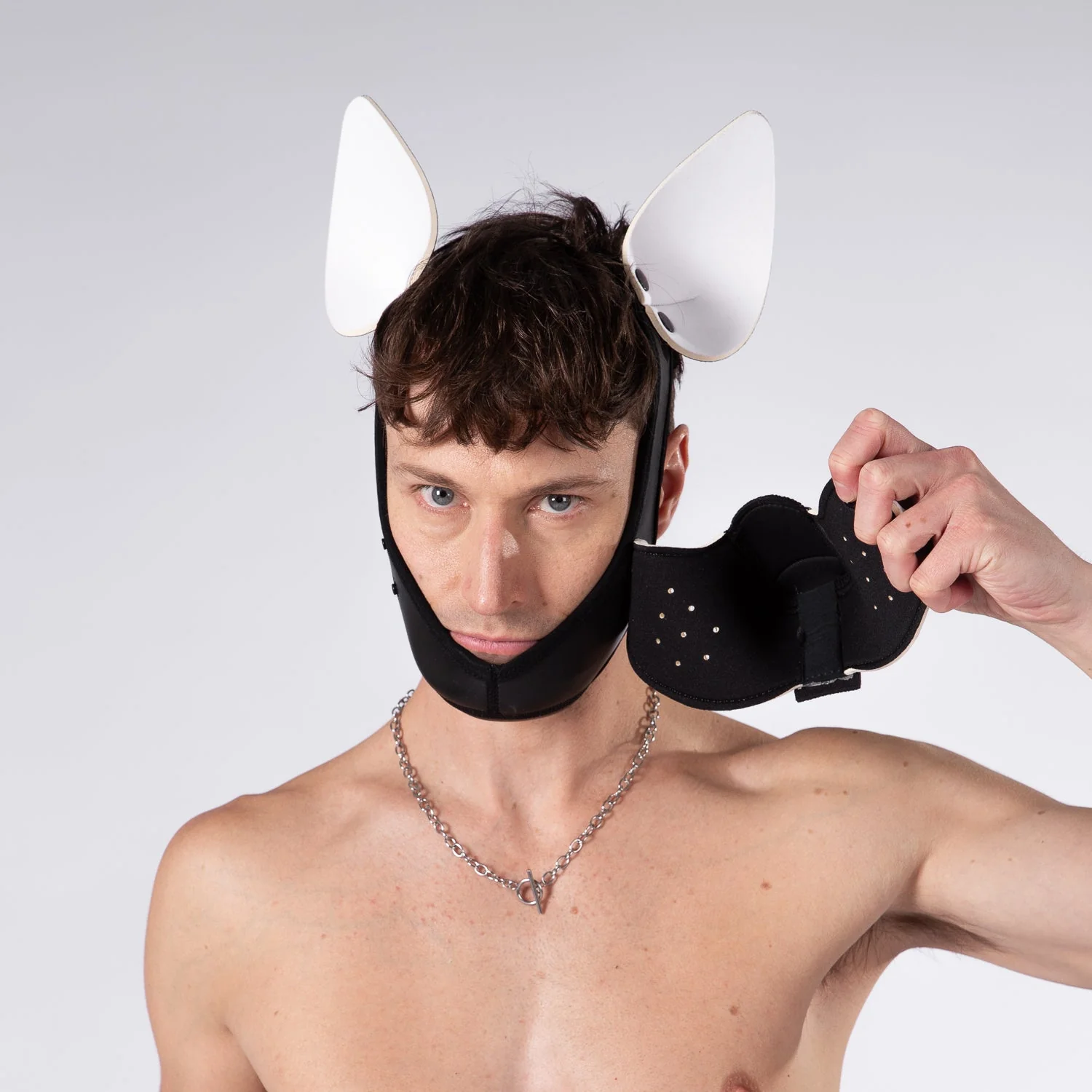 Mistr Bear Neo K9 Hood with Ears, White - Image 5