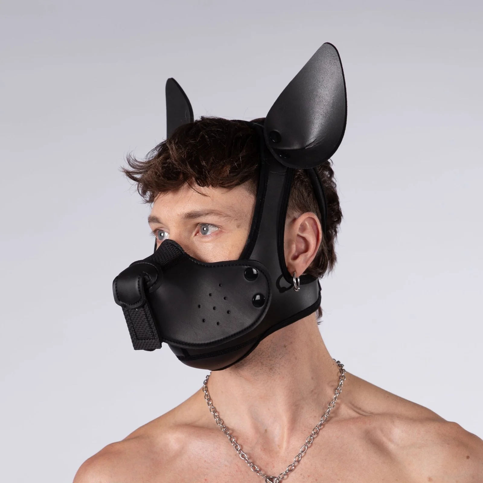 Mistr Bear Neo K9 Pup Hood with Ears, Shiny Black