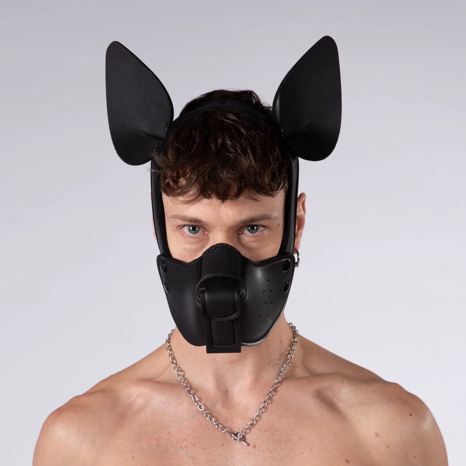 Mistr Bear Neo K9 Pup Hood with Ears, Shiny Black - Image 2
