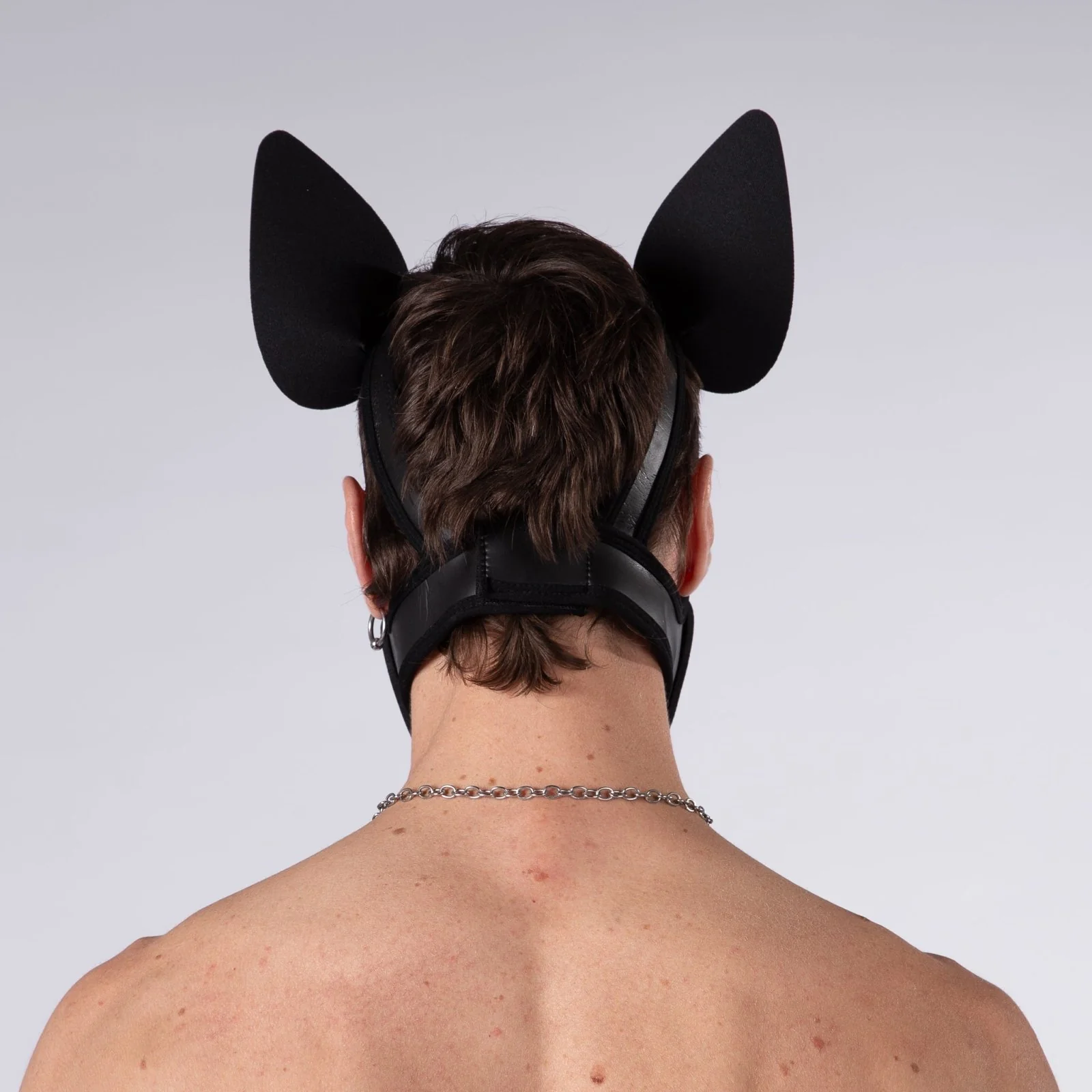 Mistr Bear Neo K9 Pup Hood with Ears, Shiny Black - Image 3