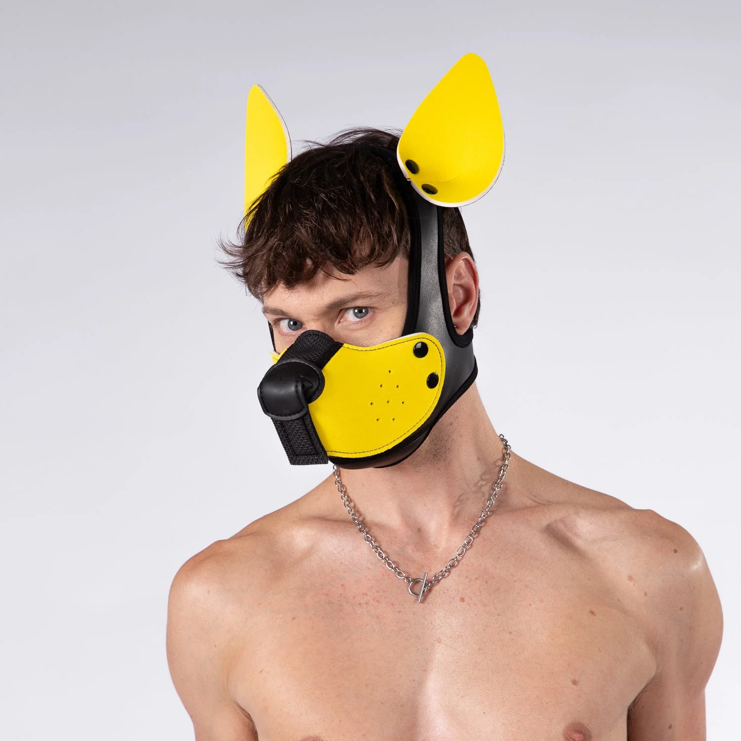 Mistr Bear Neo K9 Pup Hood with Ears, Yellow