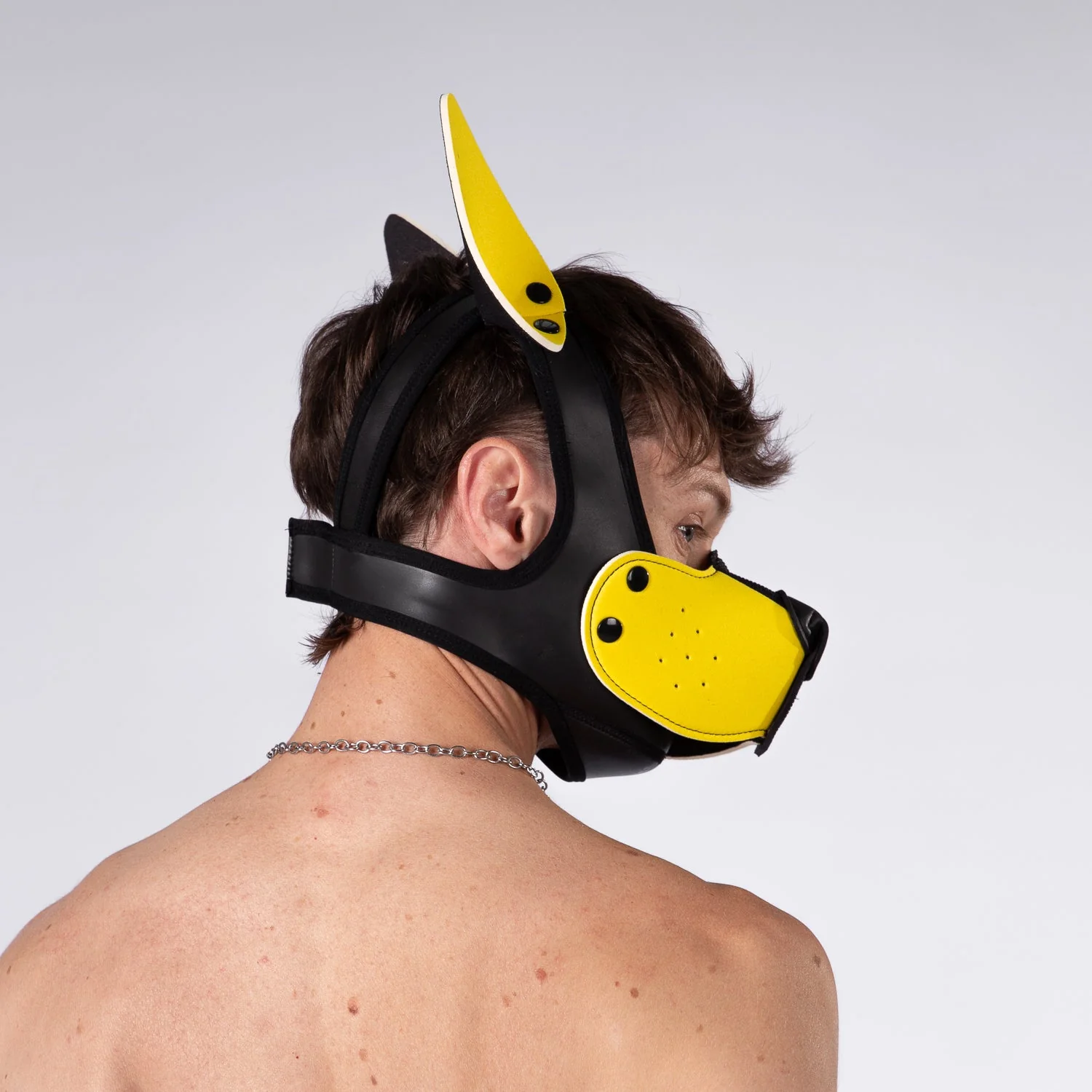 Mistr Bear Neo K9 Pup Hood with Ears, Yellow - Image 2
