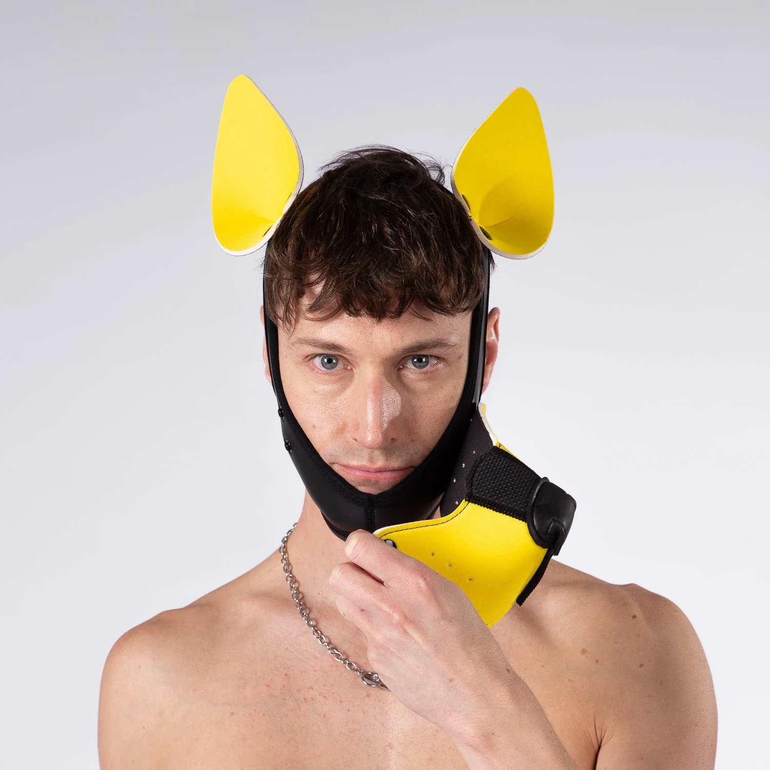 Mistr Bear Neo K9 Pup Hood with Ears, Yellow - Image 3