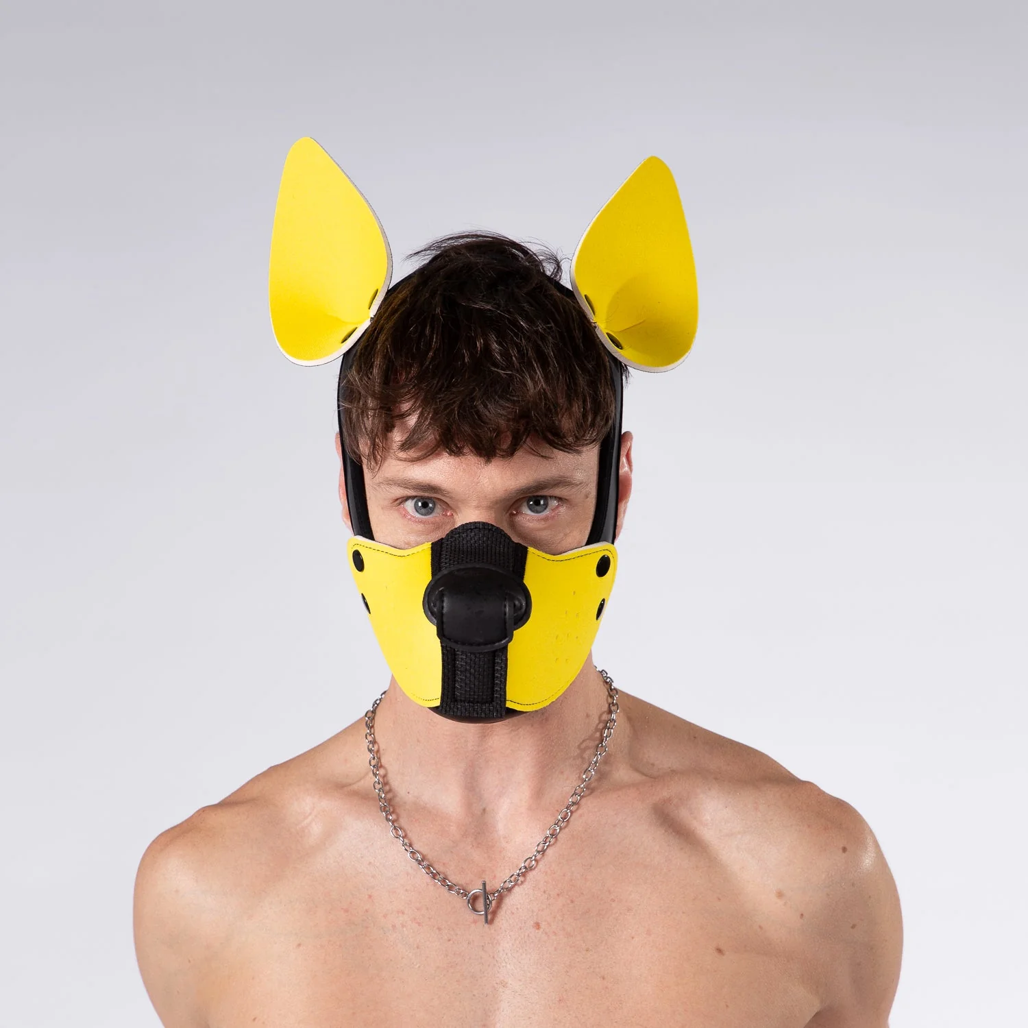 Mistr Bear Neo K9 Pup Hood with Ears, Yellow - Image 4