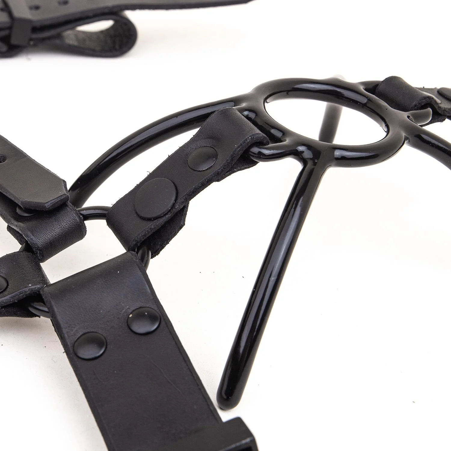 Rubber Coated Spider Gag Add-On for Nose Hook Head Harness - Image 2