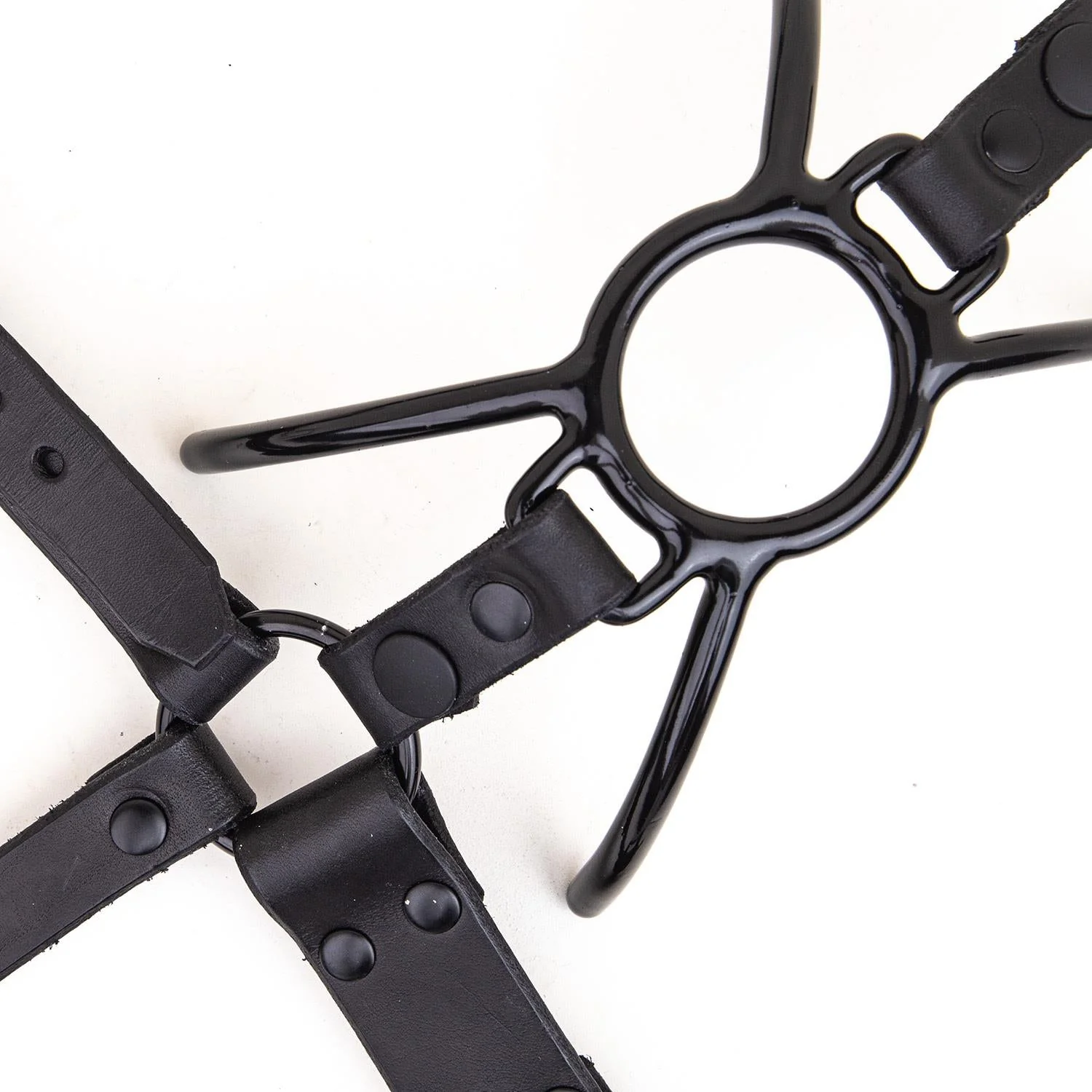 Rubber Coated Spider Gag Add-On for Nose Hook Head Harness - Image 3