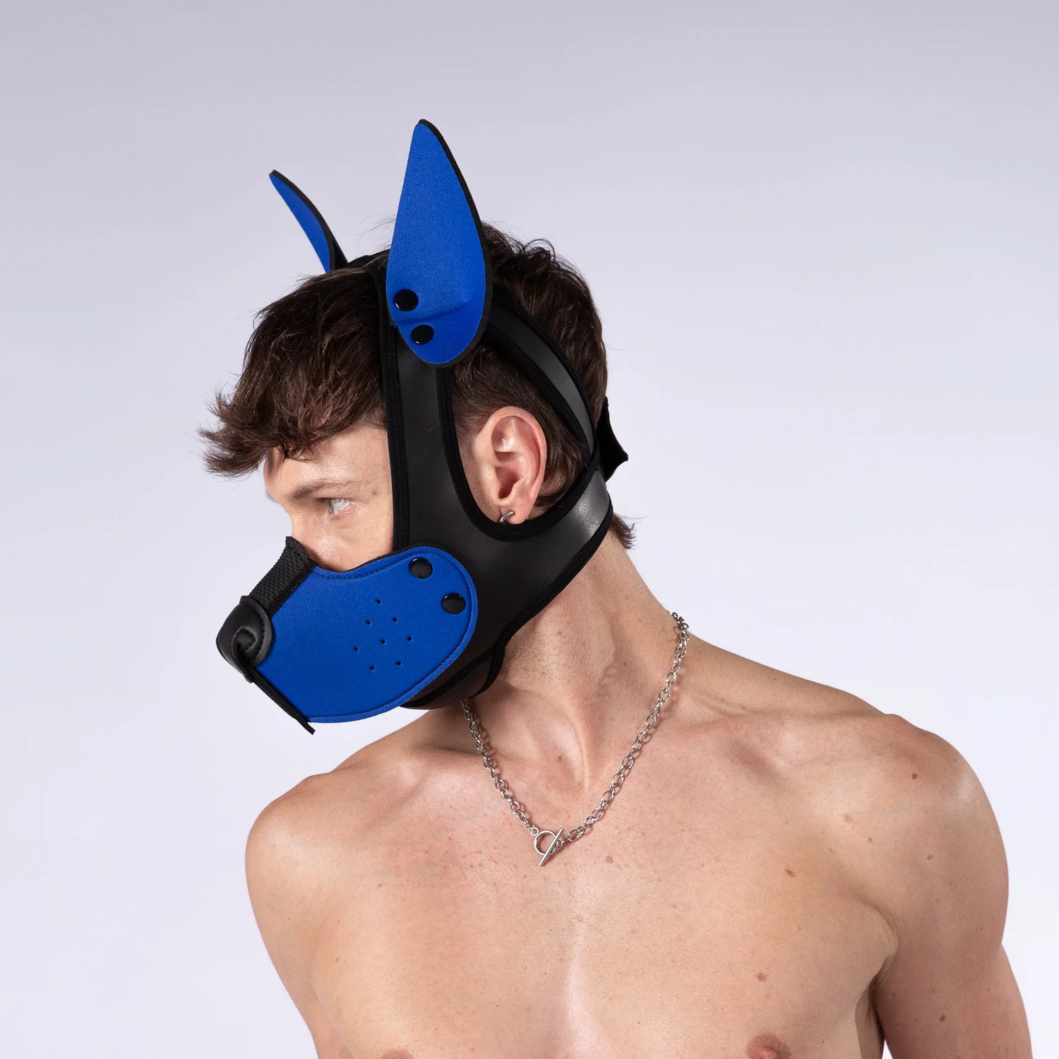 Mistr Bear Neo K9 Pup Hood with Ears, Blue