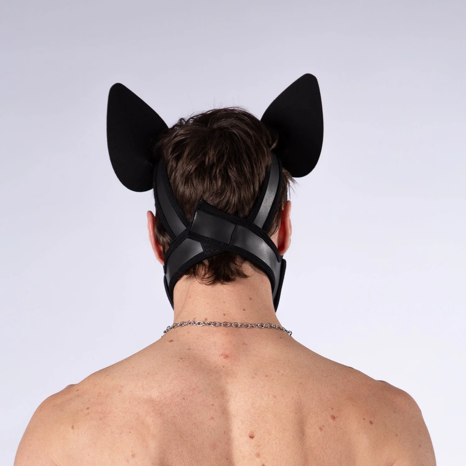 Mistr Bear Neo K9 Pup Hood with Ears, Blue - Image 2