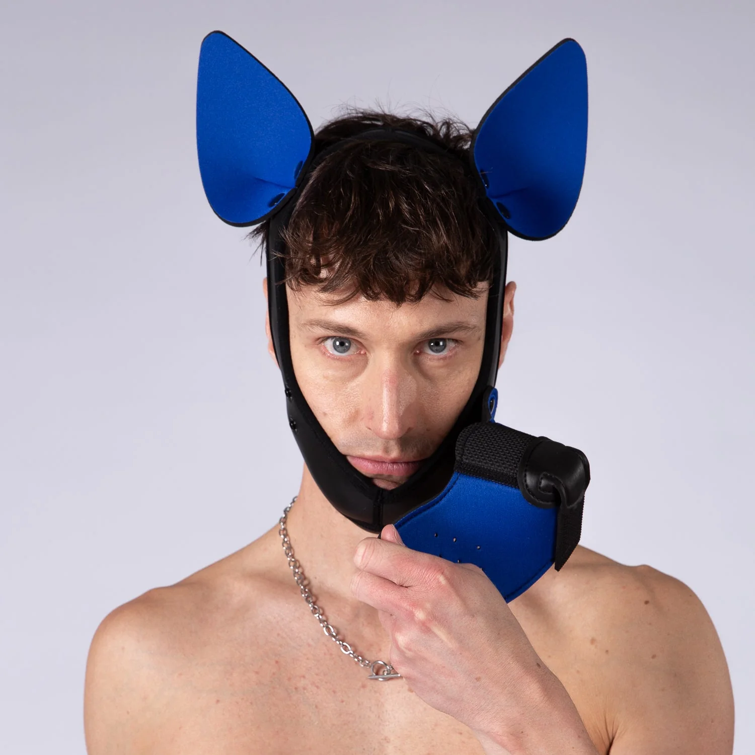 Mistr Bear Neo K9 Pup Hood with Ears, Blue - Image 3