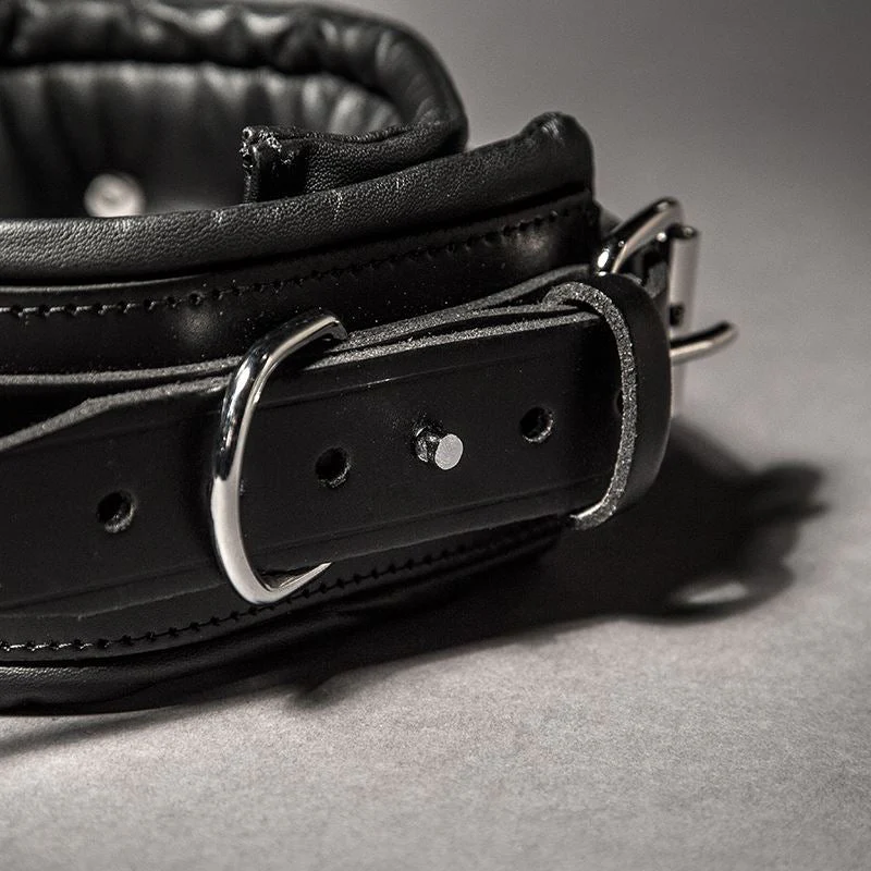 Padded Leather Collar, 8cm