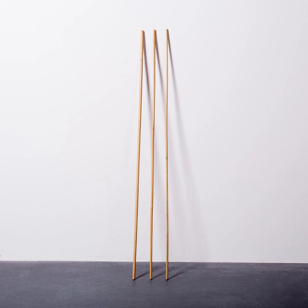 Dragon Canes, 90cm - Image 2