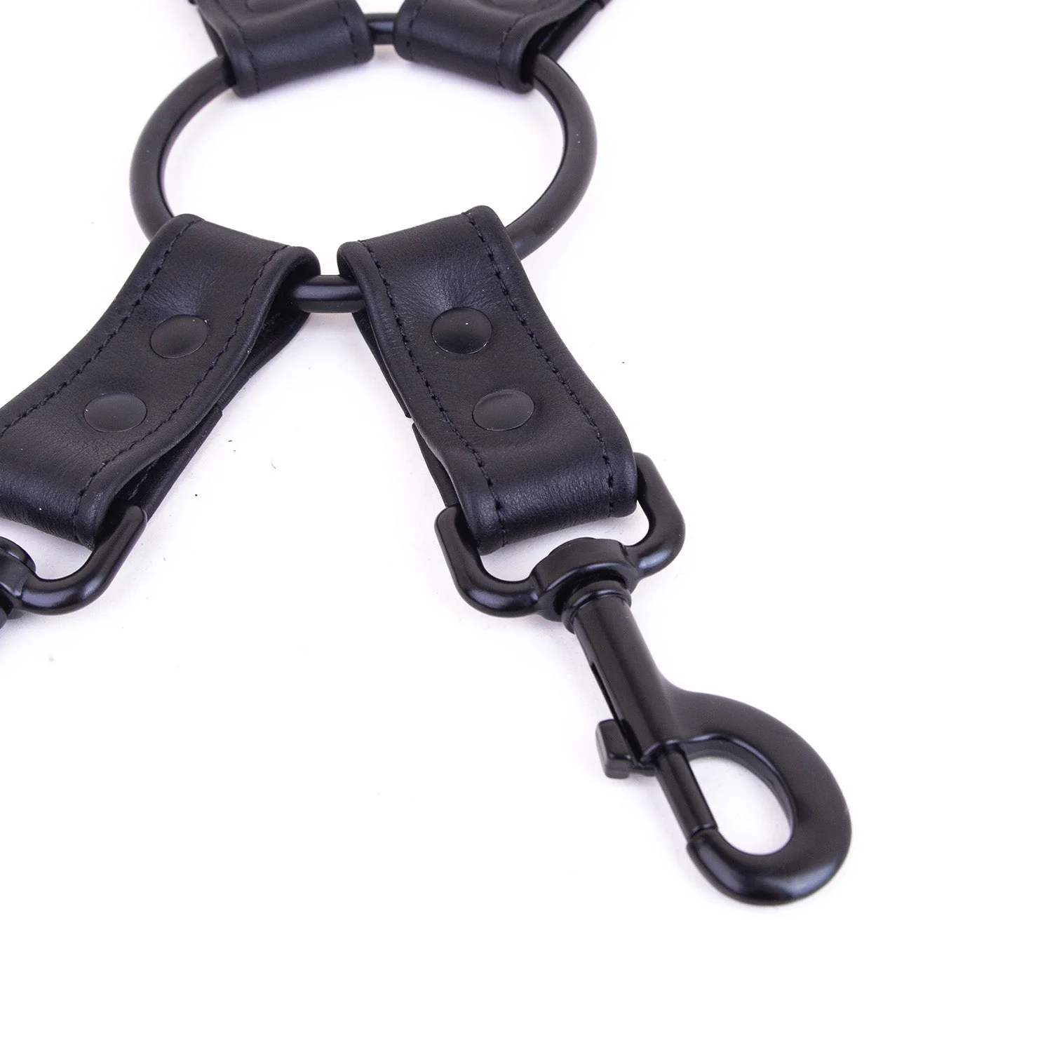 Leather Hog-tie Restraint Strap & Clips - Image 3