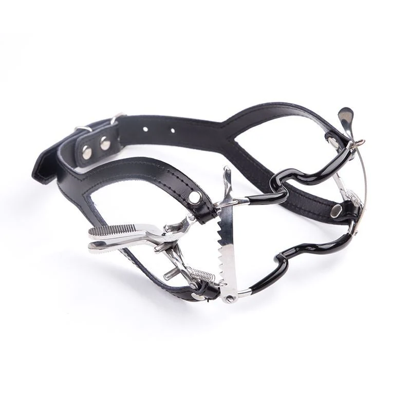 Whitehead Gag & Strap - Image 2
