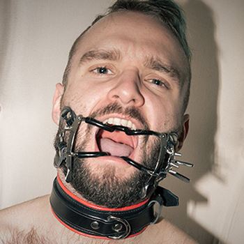 Whitehead Gag & Strap - Image 4